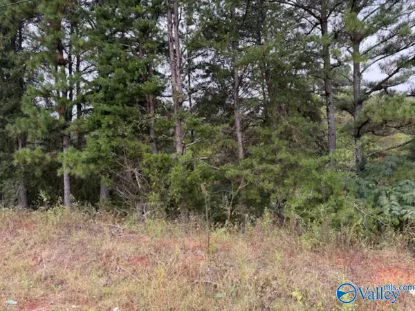 Danville, AL 35619,19.3 Acres County Road 200