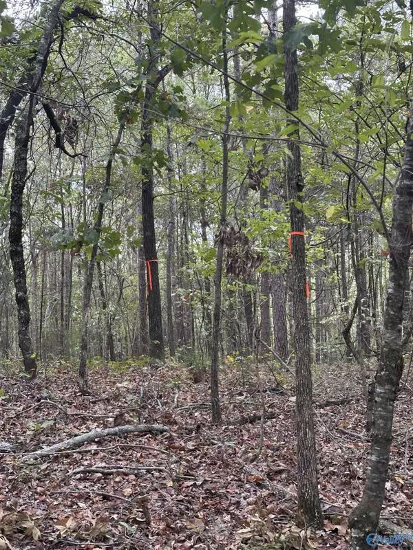 Glencoe, AL 35905,410 - A Aderholt Street