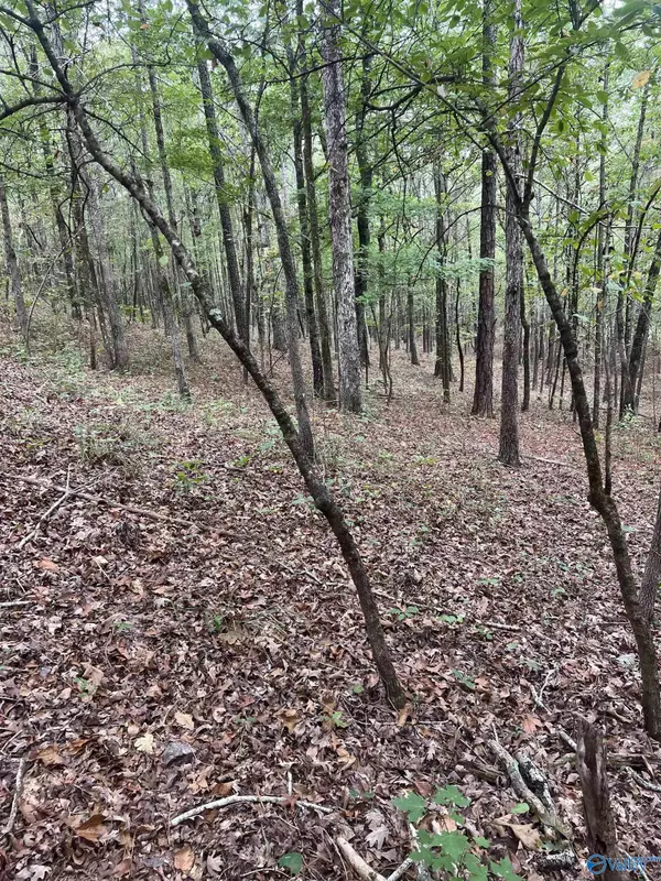 Glencoe, AL 35905,410 - A Aderholt Street