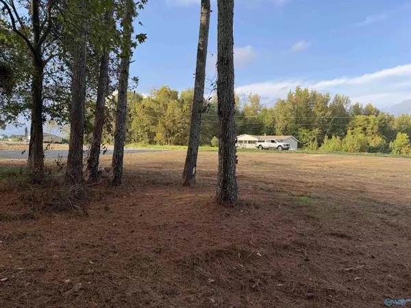 Sardis City, AL 35956,8767 Cox Gap Road