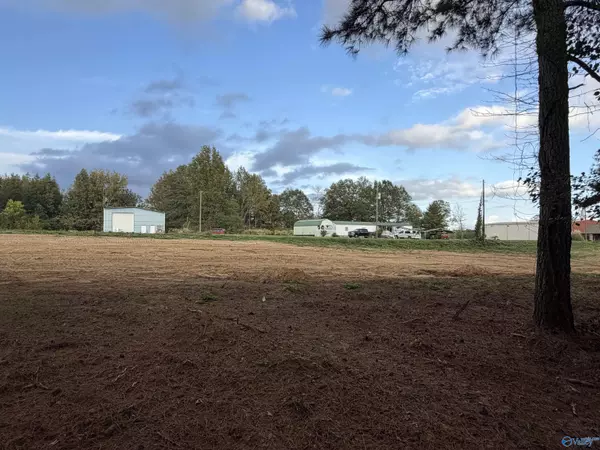 Sardis City, AL 35956,8747 Cox Gap Road