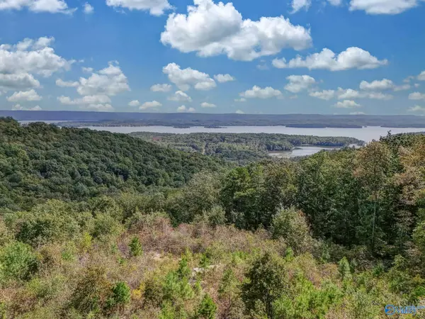 Scottsboro, AL 35769,215 Wilson Road