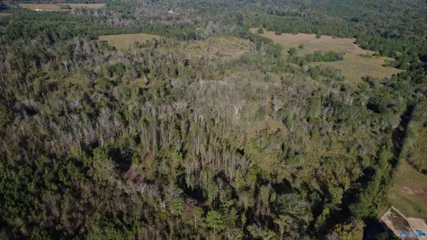 Collinsville, AL 35961,37 Acres-3124 County Road 6