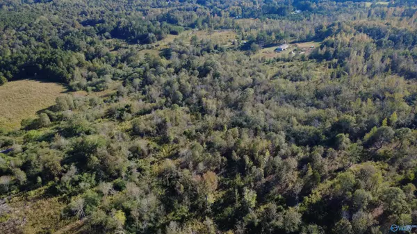 Collinsville, AL 35961,37 Acres-3124 County Road 6