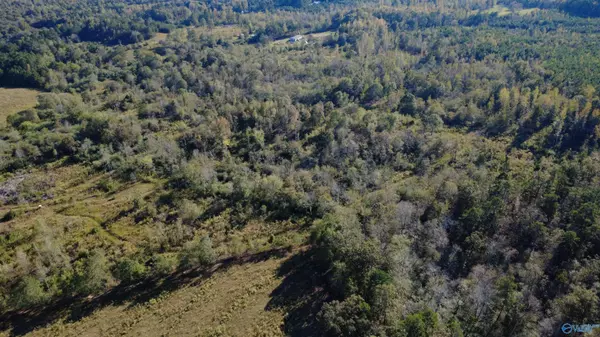 Collinsville, AL 35961,37 Acres-3124 County Road 6