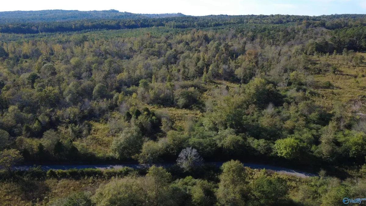 Collinsville, AL 35961,37 Acres-3124 County Road 6