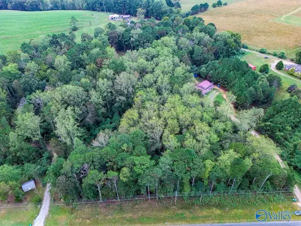 Vinemont, AL 35179,4.29 Alabama Highway 157