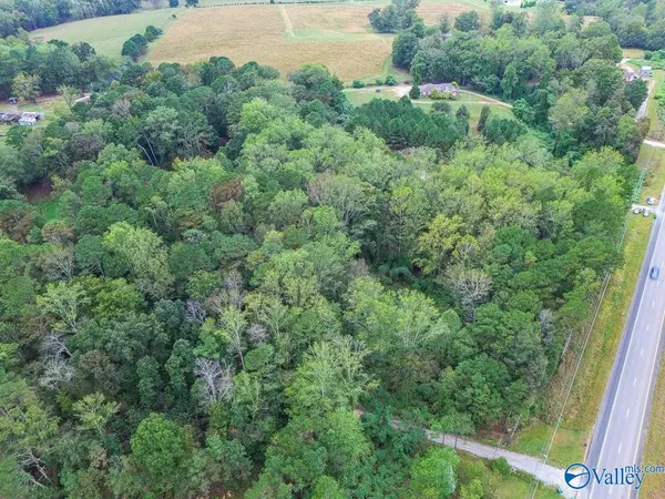 Vinemont, AL 35179,4.29 Alabama Highway 157