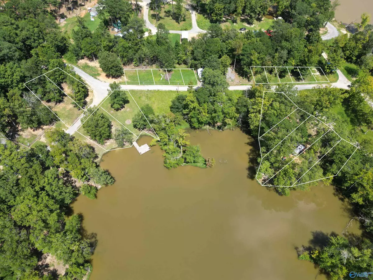 Cedar Bluff, AL 35959,10 County Road 182