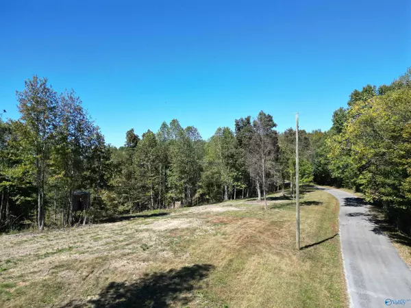 Pulaski, TN 38478,Tract3 Gunter Hollow Road