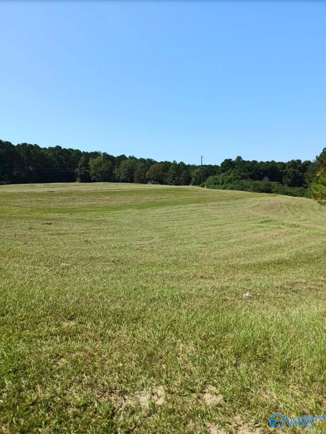 Hamilton, AL 35570,31.1 acres W County Highway 73