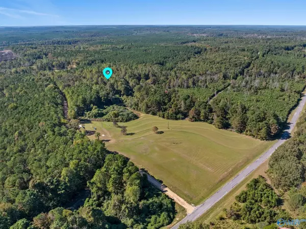 Hamilton, AL 35570,31.1 acres W County Highway 73