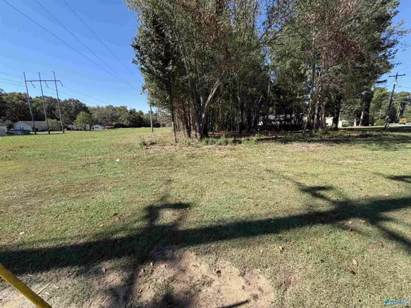 3118 Willow Beach Road, Guntersville, AL 35976