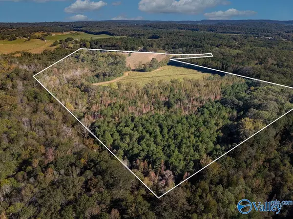 Altoona, AL 35953,5395 Fairview Cove Road