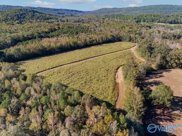 Altoona, AL 35953,5395 Fairview Cove Road