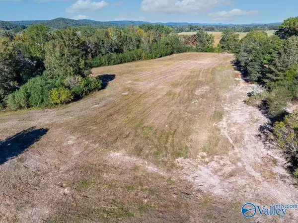 Altoona, AL 35953,5395 Fairview Cove Road