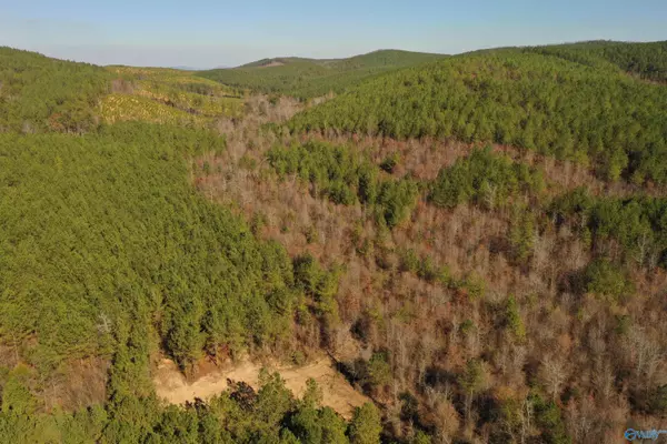 200 AC County Road 651, Piedmont, AL 36272