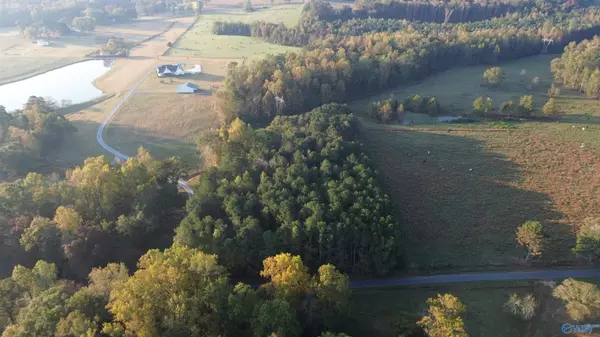 Albertville, AL 35951,24 Acres Blessing Road