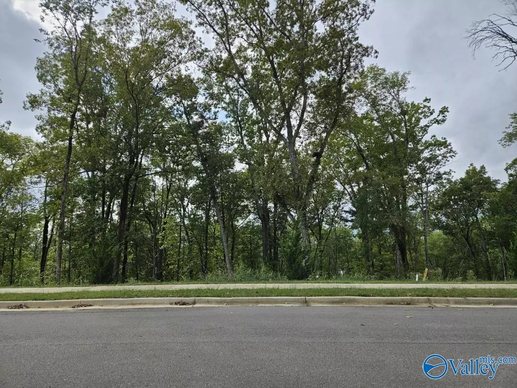 Huntsville, AL 35802,4104 Piedmont Drive SE