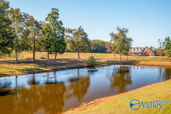 Boaz, AL 35957,853 Ellis Road