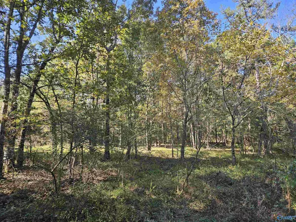 Mentone, AL 35984,10739 County Road 103