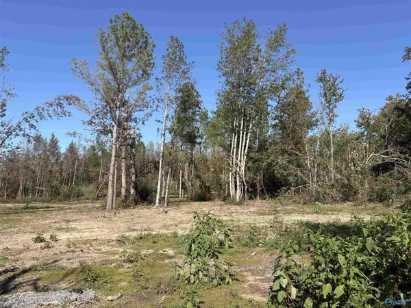 Henagar, AL 35978,Lot 2 Hwy 40