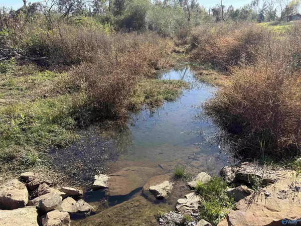 Henagar, AL 35978,Lot 3 Hwy 40