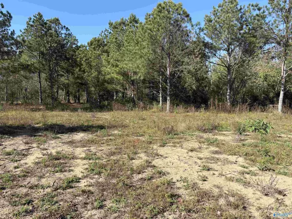 Henagar, AL 35978,Lot 6 Hwy 40