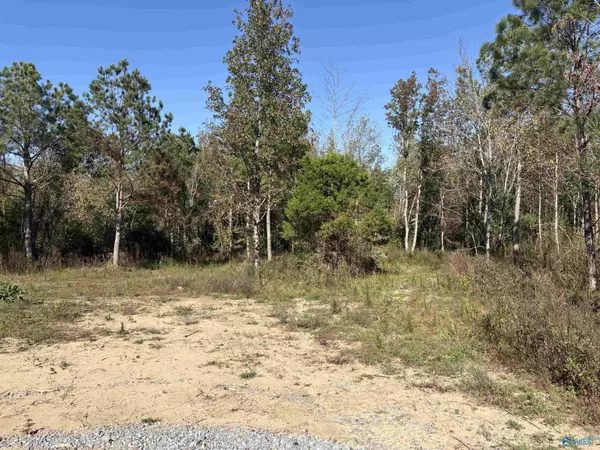 Henagar, AL 35978,Lot 6 Hwy 40