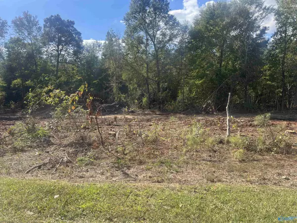 Cedar Bluff, AL 35959,Lot 3, Tract 3 Summer Breeze Drive