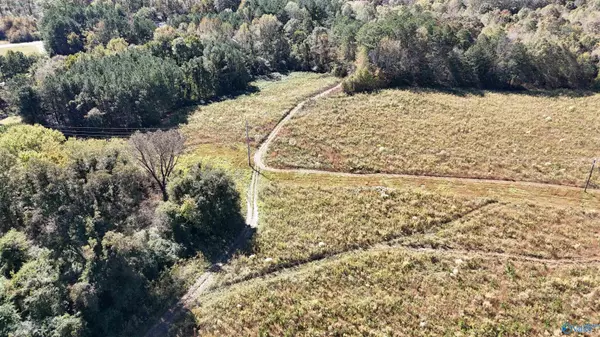 Sand Rock, AL 35961,004 County Road 70