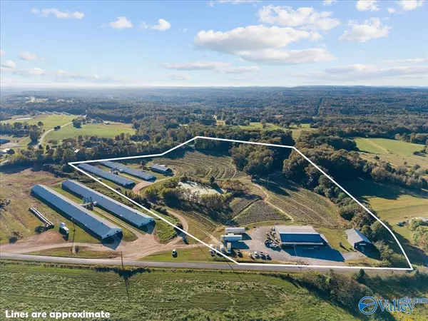 Oneonta, AL 35121,24 Reneau Road