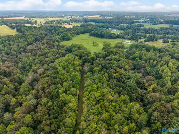 Lester, AL 35647,13.2 Acres Aunt Ann Hill Road