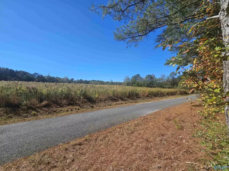 009 County Road 70, Sand Rock, AL 35984