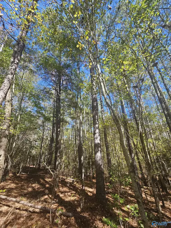 Sand Rock, AL 35984,009 County Road 70