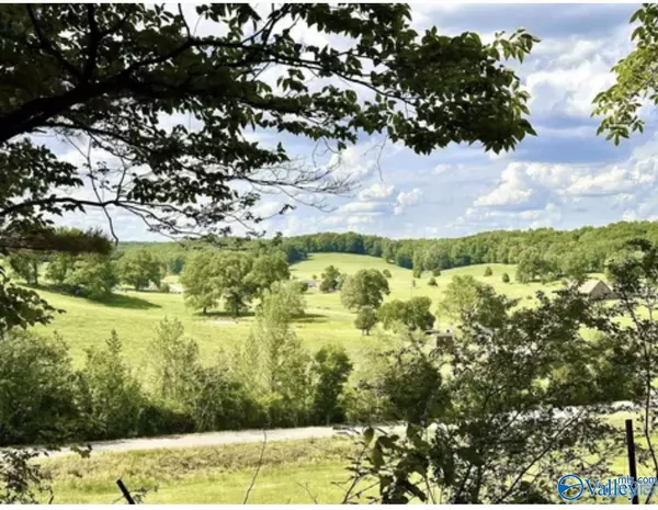 Elkmont, AL 35620,28986 Leggtown Road