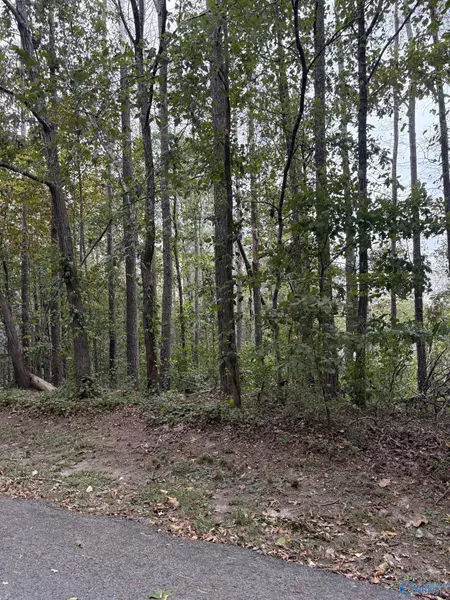 LOT 105 Creekwood Drive, Cherokee Ridge, AL 35175
