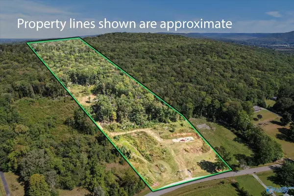 2282 Hurricane Road, New Market, AL 35763