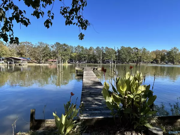 Cedar Bluff, AL 35959,230 County Road 617