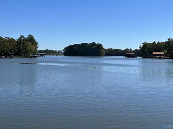 Cedar Bluff, AL 35959,230 County Road 617