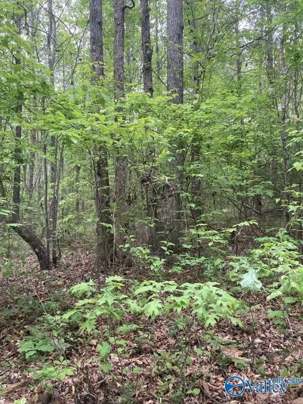 Falkville, AL 35622,21 acres Pleasant Country Road