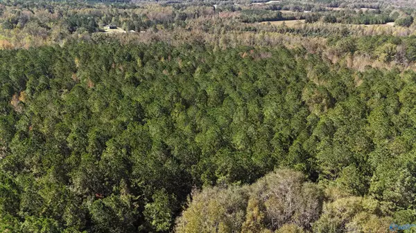 Sand Rock, AL 35984,018 County Road 70