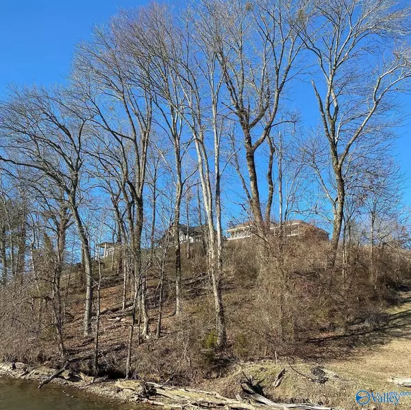 Killen, AL 35645,Lot 27 Cooper Road