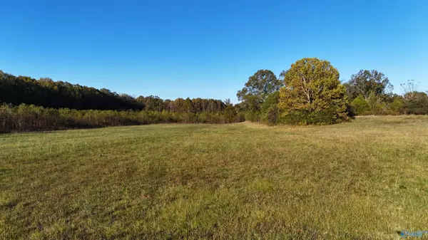 Piedmont, AL 36272,002 County Road 6