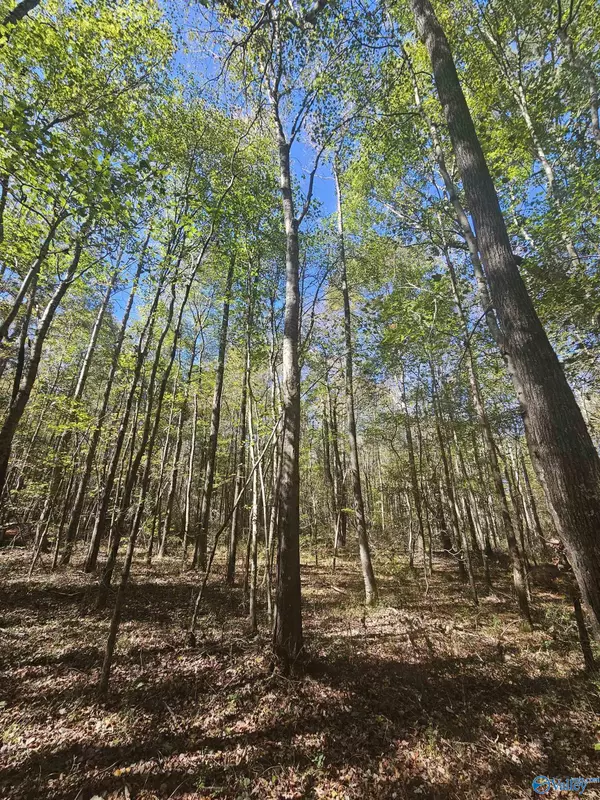 Sand Rock, AL 35984,020 County Road 70