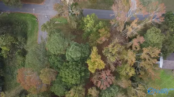 Arab, AL 35016,Lot 6 2nd Street NE