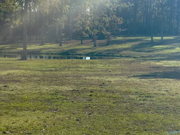 Rainbow City, AL 35906,1676 Pleasant Valley Road