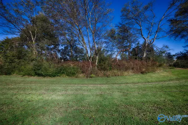 Toney, AL 35773,107 Gypsy Way