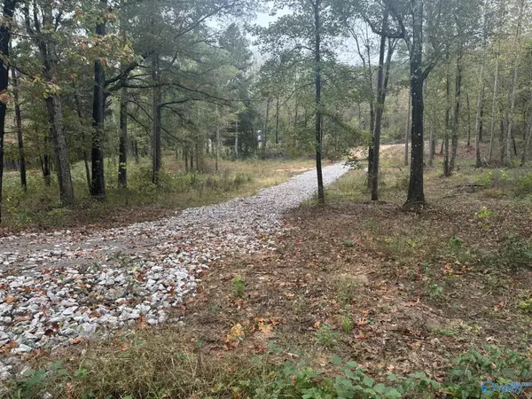 2.48 acres Ghost Hill Road, Trinity, AL 35673
