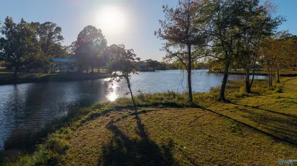 Cedar Bluff, AL 35959,Lot 36 County Road 115